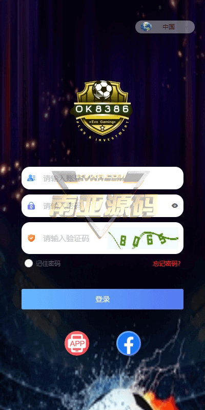 07031229806