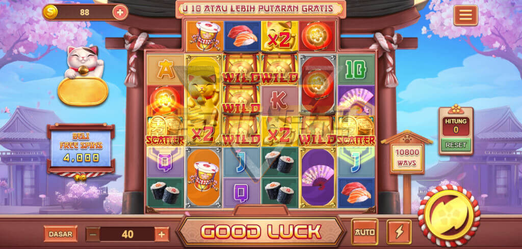 31195330578